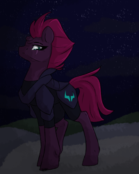 Size: 2000x2500 | Tagged: safe, artist:lionbun, fizzlepop berrytwist, tempest shadow, pony, unicorn, g4, my little pony: the movie, female, high res, looking at you, looking down at you, mare, night, sky, solo, standing, stars, three quarter view
