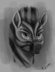 Size: 1000x1300 | Tagged: safe, artist:tauts05, oc, oc only, oc:tsekani, pony, zebra, black and white, bust, grayscale, monochrome, portrait, simple background, solo, zebra oc