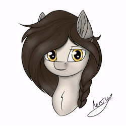 Size: 2500x2500 | Tagged: source needed, useless source url, safe, artist:lesti, oc, oc only, pony, high res, solo