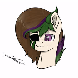 Size: 3200x3200 | Tagged: source needed, useless source url, safe, artist:lesti, oc, oc only, pony, bust, ear fluff, heterochromia, high res, male, signature, simple background, solo, white background