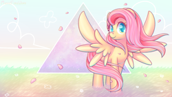 Size: 1920x1080 | Tagged: safe, artist:wavecipher, fluttershy, pegasus, pony, g4, cute, female, flower, grass, looking at you, mare, petals, serenity, shyabetes, smiling, solo, spread wings, standing, triangle, turned head, wallpaper, windswept mane, wings