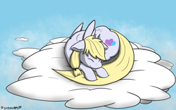 Size: 1920x1200 | Tagged: safe, artist:skydreams, oc, oc only, oc:loves lift, pegasus, pony, behaving like a cat, cloud, commission, curled up, female, mare, on a cloud, sleeping, solo