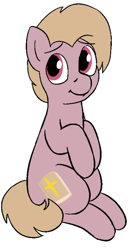 Size: 314x605 | Tagged: safe, artist:heretichesh, oc, oc only, oc:soft sermon, earth pony, pony, bible, male, simple background, solo, white background