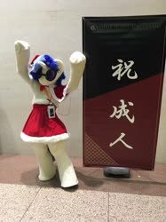 Size: 719x960 | Tagged: safe, artist:luna_b_, dj pon-3, vinyl scratch, human, g4, christmas, christmas clothing, christmas outfit, clothes, cosplay, costume, fursuit, hat, holiday, irl, irl human, japan, photo, santa hat