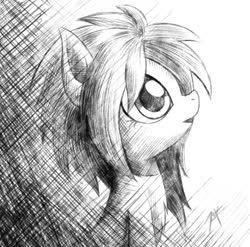 Size: 710x702 | Tagged: safe, artist:zetamad, oc, oc only, oc:lemon sketch, pony, black and white, grayscale, monochrome, solo