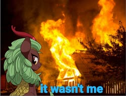 Size: 1434x1088 | Tagged: safe, artist:mangoswirl13, cinder glow, summer flare, kirin, g4, denial, female, fire, house fire, implied nirik, it wasn't me, looking at you, looking back, smiling, solo, this ended in fire