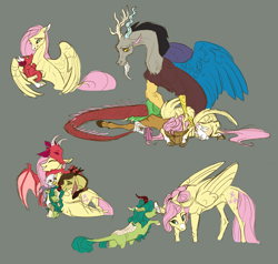 Size: 1956x1860 | Tagged: safe, artist:varwing, angel bunny, discord, fluttershy, oc, oc:athena (varwing), oc:clear, oc:leaflitter, oc:spring blossom, draconequus, dragon, griffon, hybrid, kirin, g4, adopted offspring, cute, dadcord, daddy discord, draconequus oc, dragon oc, family, father and child, father and daughter, father and son, female, gray background, griffon oc, interspecies offspring, kirin oc, male, mare, morning sickness, mother and child, mother and daughter, mother and son, next generation, offspring, parent:discord, parent:fluttershy, parents:discoshy, ship:discoshy, shipping, siblings, simple background, straight