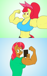 Size: 1724x2776 | Tagged: safe, artist:matchstickman, apple bloom, babs seed, earth pony, anthro, matchstickman's apple brawn series, tumblr:where the apple blossoms, g4, abs, abs seed, apple bloom's bow, apple brawn, armpits, biceps, bow, breasts, busty apple bloom, busty babs seed, cellphone, clothes, comic, cousins, deltoids, duo, female, flexing, front view, gradient background, grin, hair bow, looking at you, mare, muscles, muscular female, no dialogue, older, older apple bloom, older babs seed, pecs, phone, selfie, shirt, side view, smartphone, smiling, sports bra, tongue out, triceps, tumblr comic