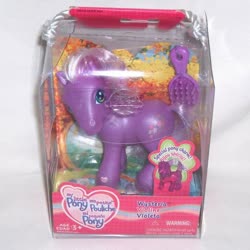 Size: 550x550 | Tagged: safe, photographer:rainbowwindy, wysteria, g3, official, brush, female, french, irl, packaging, photo, rainbow celebration ponies, spanish, toy