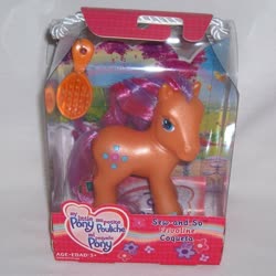 Size: 550x550 | Tagged: safe, photographer:rainbowwindy, sew-and-so, g3, official, brush, french, irl, photo, rainbow celebration ponies, spanish