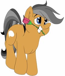 Size: 799x931 | Tagged: safe, artist:bennimarru, quibble pants, pony, g4, colored, cute, flat colors, flower, flower in mouth, heart eyes, male, mouth hold, quibblebetes, rose, simple background, smiling, solo, white background, wingding eyes