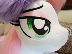 Size: 2048x1536 | Tagged: safe, artist:ponimalion, sweetie belle, pony, unicorn, g4, bed, female, irl, life size, mare, older, older sweetie belle, photo, plushie, prone