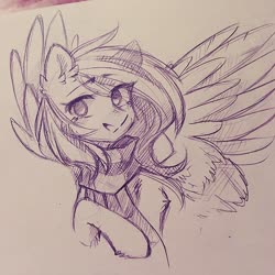 Size: 640x640 | Tagged: source needed, safe, artist:floweryoutoday, oc, oc only, oc:mirta whoowlms, pegasus, pony, clothes, looking at you, pencil drawing, scarf, simple background, smiling, traditional art, white background, wings