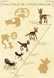 Size: 3000x4300 | Tagged: safe, artist:jackiebloom, bee, changeling, insect, pony, disguise, disguised changeling, evolution, headcanon, honeycomb (structure), larva, long description, monochrome, phylogenetic tree, scientific name