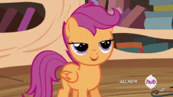 Size: 1920x1080 | Tagged: safe, screencap, apple bloom, scootaloo, sweetie belle, twilight sparkle, alicorn, earth pony, pegasus, pony, unicorn, g4, twilight time, animated, cute, cutealoo, eye shimmer, female, golden oaks library, hasbro is trying to murder us, hnnng, sound, squee, too cute, twilight sparkle (alicorn), weapons-grade cute, webm, wings, youtube link