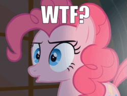 Size: 559x422 | Tagged: safe, edit, edited screencap, screencap, pinkie pie, pony, g4, party of one, animated, blinking, caption, cropped, female, image macro, loop, solo, text, wtf