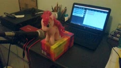 Size: 3771x2121 | Tagged: safe, derpibooru exclusive, pinkie pie, earth pony, pony, g4, computer, cutie mark, high res, irl, laptop computer, microphone, microphone stand, music, photo, pinkie pie plushie, plushie, recording, shure sm58, singing, small, solo, tissue box