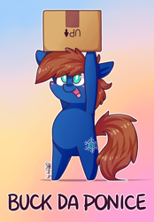 Size: 1280x1840 | Tagged: safe, artist:dsp2003, oc, oc:chillycube, earth pony, pony, bipedal, blushing, cardboard box, chibi, fuck the police, gradient background, holding, male, n.w.a., open mouth, pun, pure unfiltered evil, signature