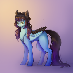 Size: 1000x1000 | Tagged: safe, artist:second-can, oc, oc only, oc:despy, pegasus, pony, female, mare, solo