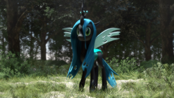 Size: 3840x2160 | Tagged: safe, artist:freasaloz, queen chrysalis, changeling, changeling queen, g4, 3d, female, forest, high res, solo, source filmmaker