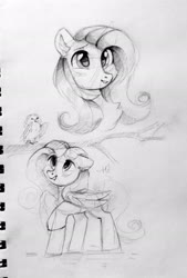 Size: 1381x2048 | Tagged: safe, artist:raily, fluttershy, bird, pegasus, pony, g4, black and white, bust, female, grayscale, mare, monochrome, sketch, solo, talking, traditional art, tree branch, wings