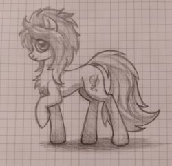 Size: 1280x1235 | Tagged: safe, artist:zetamad, oc, oc only, oc:lemon sketch, earth pony, pony, chest fluff, graph paper, sketch, solo, traditional art