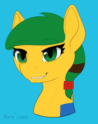 Size: 3048x3861 | Tagged: safe, artist:kota, oc, oc only, oc:blocky bits, earth pony, pony, female, high res, mare, solo