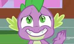Size: 1200x720 | Tagged: safe, screencap, spike, dragon, cakes for the memories, g4, spoiler:cakes for the memories, spoiler:mlp friendship is forever, 9now, adorkable, cute, dork, male, nervous smile, winged spike, wings