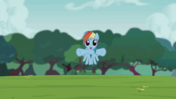 Size: 1280x720 | Tagged: safe, edit, screencap, rainbow dash, pegasus, pony, g4, animated, cropped, cute, dashabetes, female, flying, flying towards you, foal house, full house, gif, hug, it's coming right at us, mare, official content, reversed, solo, tree