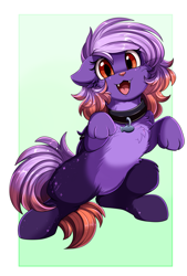 Size: 1771x2625 | Tagged: safe, artist:pridark, oc, oc only, oc:ardent dusk, cat, cat pony, original species, pony, cheek fluff, chest fluff, collar, cute, cute little fangs, fangs, floppy ears, pale belly, paws, solo