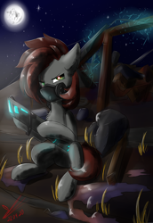 Size: 1080x1574 | Tagged: safe, artist:yuris, oc, oc only, pony, fallout equestria, fallout, moon, night, solo