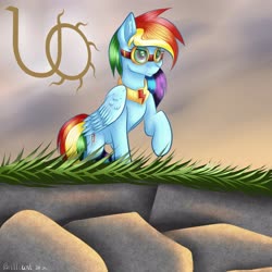 Size: 3000x3000 | Tagged: safe, artist:brilliant-luna, rainbow dash, pegasus, pony, fanfic:austraeoh, g4, cheek fluff, ear fluff, element of loyalty, fanfic art, female, folded wings, goggles, high res, jewelry, mare, necklace, raised hoof, solo, sunset, wings
