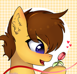 Size: 3000x2870 | Tagged: safe, artist:2pandita, oc, oc only, pony, bust, female, flower, high res, mare, portrait, solo