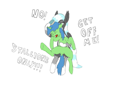 Size: 2615x1855 | Tagged: safe, artist:sufficient, edit, oc, oc only, oc:quick fix, oc:snowcap, bat pony, pony, unicorn, angry, bat pony oc, bat wings, brush, brushing, bully, bullying, female, hairbrush, holding, holding a pony, kicking, male, markings, simple background, sitting, sitting on lap, squirming, text, trap, white background, wings