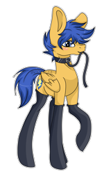 Size: 3916x6531 | Tagged: safe, artist:kireiinaa, flash sentry, pegasus, pony, g4, bedroom eyes, blushing, clothes, collar, commission, leash, looking at you, male, malesub, mouth hold, pet play, raised hoof, simple background, socks, solo, stallion, stockings, submissive, thigh highs, transparent background