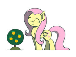 Size: 1800x1350 | Tagged: safe, artist:flutterluv, fluttershy, pegasus, pony, g4, cute, eyes closed, female, fluttershy day, mare, orange tree, shyabetes, simple background, solo, transparent background, tree
