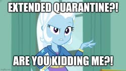 Size: 732x412 | Tagged: safe, edit, edited screencap, screencap, trixie, a little birdie told me, equestria girls, g4, my little pony equestria girls: better together, female, image macro, meme, quarantine, solo, text