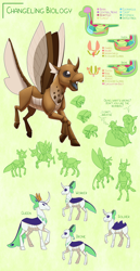 Size: 3000x5800 | Tagged: safe, artist:jackiebloom, ocellus, silverstream, changeling, changeling queen, classical hippogriff, hippogriff, moth, mothling, original species, g4, absurd resolution, anatomy, beanbag chair, brown changeling, female, headcanon, long description, simple background, species swap, worldbuilding