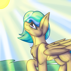 Size: 700x700 | Tagged: safe, artist:jane-ander, oc, oc only, oc:mango foalix, pegasus, pony, grass, solo, sun