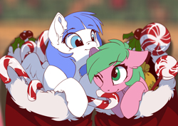 Size: 3508x2480 | Tagged: safe, artist:arctic-fox, oc, oc only, oc:pine berry, oc:snow pup, earth pony, pegasus, pony, candy, candy cane, christmas, christmas stocking, clothes, food, high res, holiday, holly, mints, nibbling, playful
