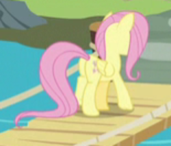 Size: 1000x852 | Tagged: safe, screencap, angel bunny, fluttershy, pegasus, pony, g4, she talks to angel, blurry, body swap, butt, cropped, female, mare, plot, zoom