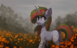 Size: 2300x1452 | Tagged: safe, artist:koviry, oc, oc only, oc:wander bliss, pony, unicorn, cloud, cloudy, field, flower, looking back, looking up, overcast, solo, ych result