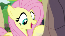 Size: 1920x1080 | Tagged: safe, screencap, angel bunny, fluttershy, pegasus, pony, g4, she talks to angel, body swap, female, mare, open mouth, solo