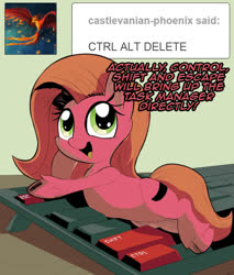 Size: 670x785 | Tagged: safe, artist:wadusher0, oc, oc only, oc:pun, earth pony, pony, ask pun, ask, keyboard, micro, solo