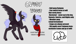 Size: 3327x1935 | Tagged: safe, artist:ohhoneybee, oc, oc only, oc:cloudy night, pegasus, pony, clothes, female, mare, reference sheet, scarf, solo