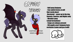 Size: 3327x1935 | Tagged: safe, alternate version, artist:ohhoneybee, oc, oc only, oc:cloudy night, bat pony, pony, clothes, female, mare, reference sheet, scarf, solo