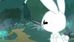 Size: 1920x1080 | Tagged: safe, screencap, angel bunny, fluttershy, rabbit, g4, she talks to angel, animal, body swap, everfree forest, forest, male, mushroom, solo, tree