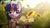 Size: 3232x1816 | Tagged: safe, artist:radioaxi, twilight sparkle, bird, butterfly, pony, g4, clothes, crossover, female, fence, flower, mare, scenery, smiling, socks, solo, sunflower, sword, the witcher, weapon