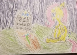 Size: 2738x1960 | Tagged: safe, artist:joeydr, fluttershy, pegasus, pony, g4, female, gravestone, implied death, implied pinkie pie, mare, redraw, remake, sad, signature, solo, traditional art