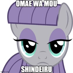 Size: 502x500 | Tagged: safe, edit, maud pie, earth pony, pony, g4, the gift of the maud pie, caption, female, hokuto no ken, image macro, imminent death, impact font, kenshiro, looking at you, mare, meme, nani, omae wa mou shindeiru, simple background, solo, stare, text, the fire in her eyes, white background, you are already dead